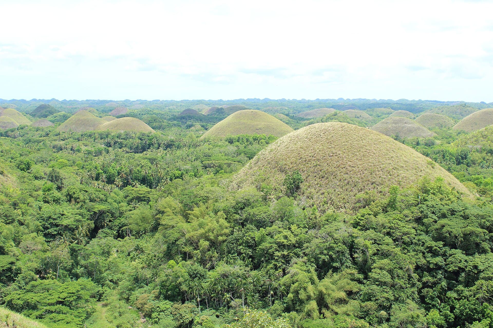 Bohol